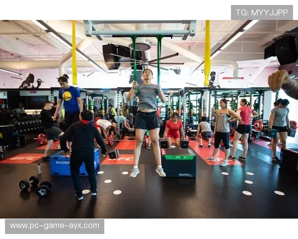 奥运备战爆料：国家队训练营的极限日程