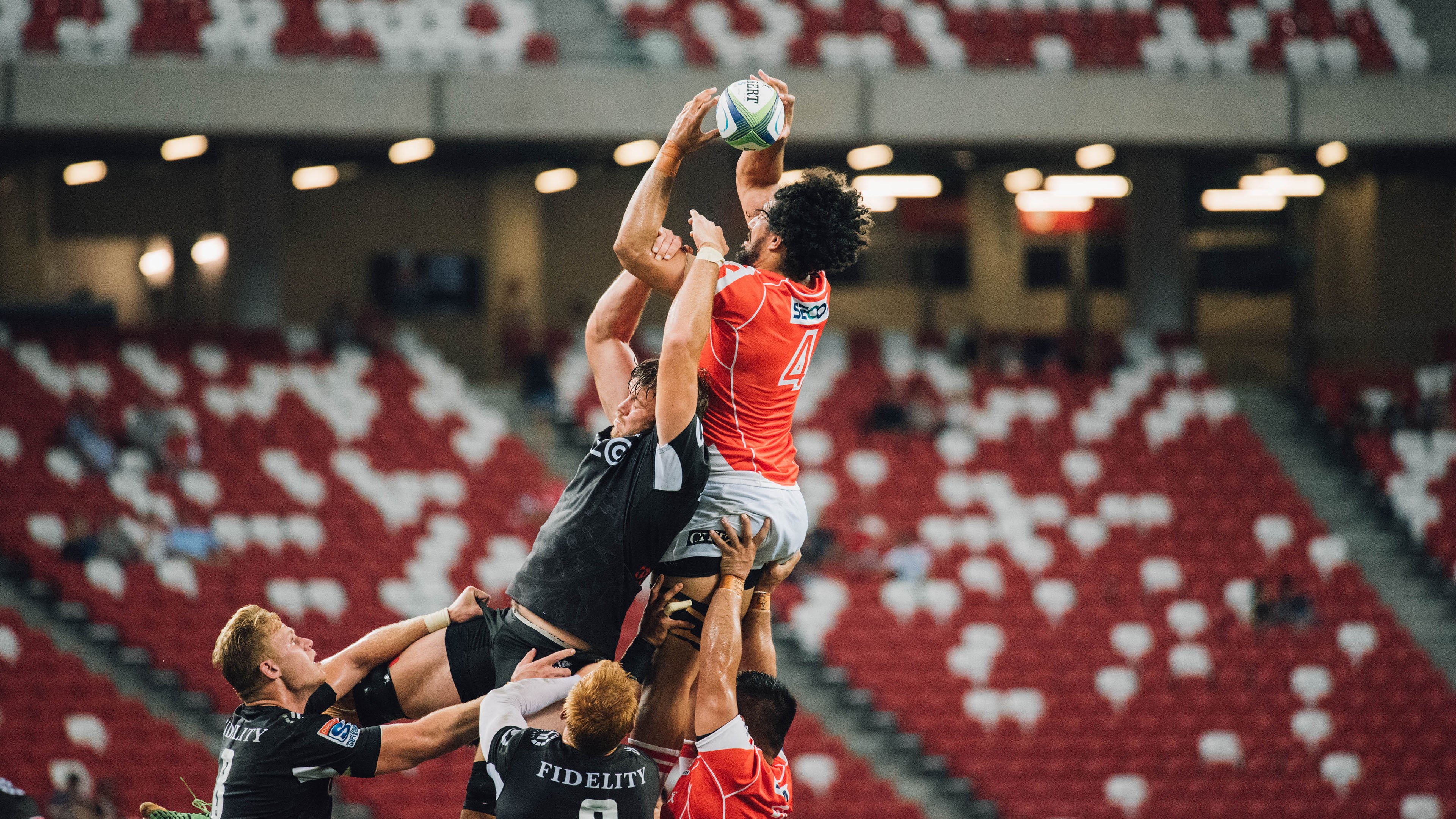 _猛龙队稳扎稳打，收获关键胜利_，猛龙队员