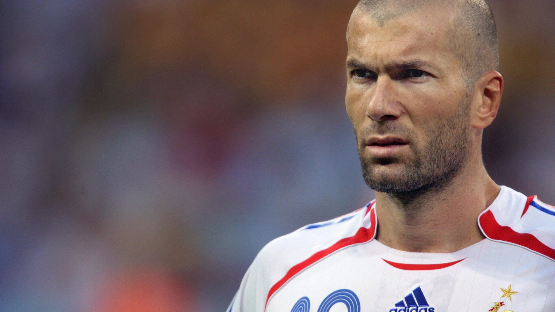 世界拳击职业联赛赛季后球员发展案例入选教材，世界拳击队